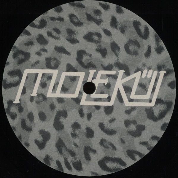 Fank, No Valentia — Wavecycle EP vinyl cover