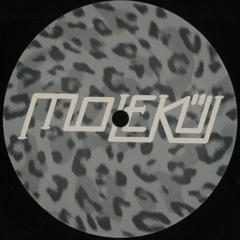 Fank, No Valentia — Wavecycle EP vinyl cover