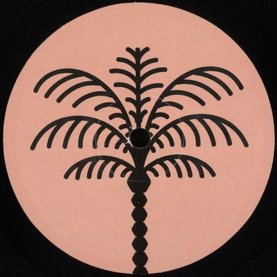 Chavi — Unreleased Data EP vinyl cover