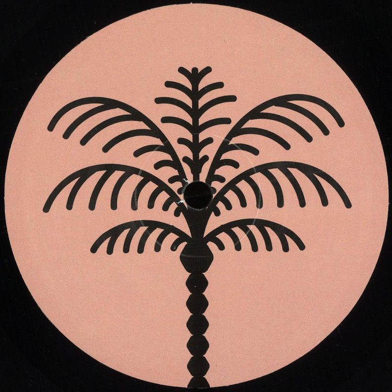 Chavi — Unreleased Data EP vinyl cover