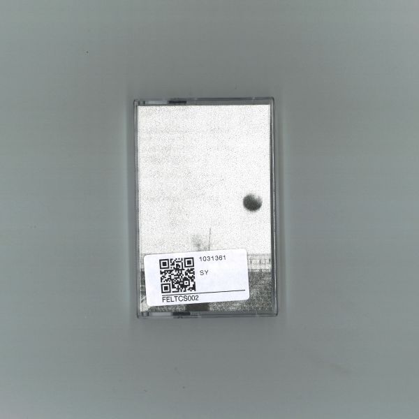 Princess Diana Of Wales, Thomas Bush — Live at Cafe Oto / Live at (TAPE) vinyl cover