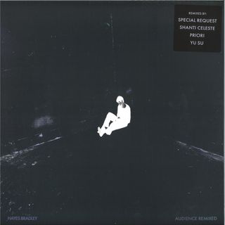 Hayes Bradley — Audience (Remixed) vinyl cover