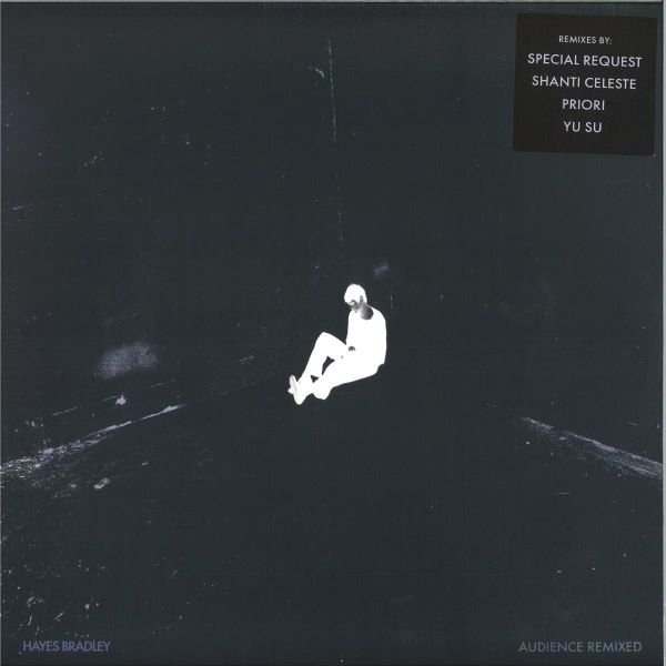 Hayes Bradley — Audience (Remixed) vinyl cover