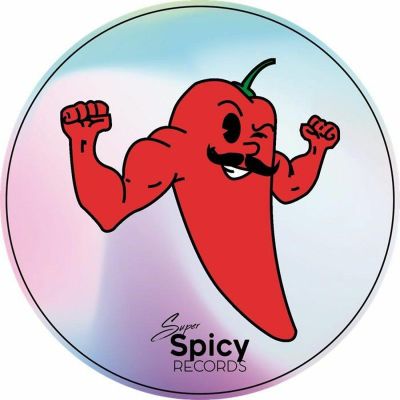 Various — Super Spicy Recipe Vol 10 vinyl cover