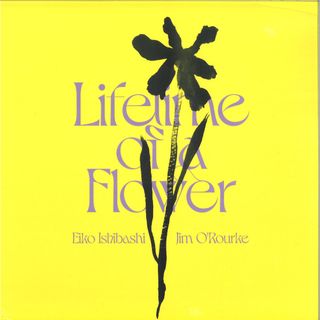 Eiko Ishibashi