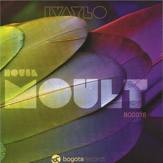 Ivaylo — House Moult vinyl cover