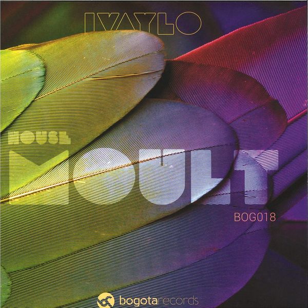 Ivaylo — House Moult vinyl cover