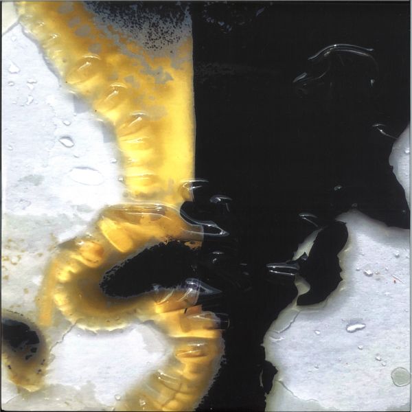 Cat Can Do — M SERIES VOL. 2 vinyl cover