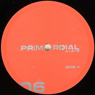 Primordial State — Response EP vinyl cover