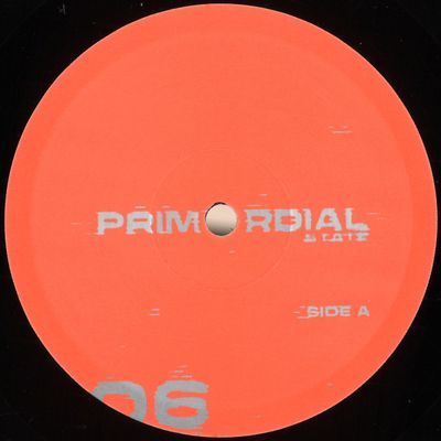 Primordial State — Response EP vinyl cover