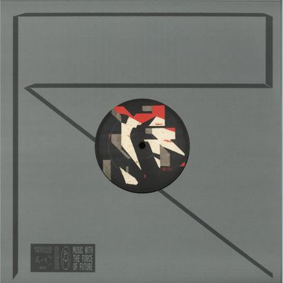Mesh Convergence — Never Ask Why vinyl cover