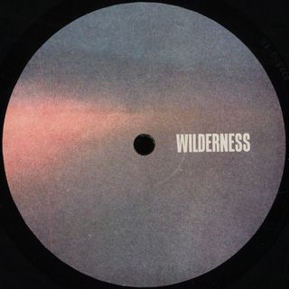 Hobzee, Response — Andromeda EP vinyl cover