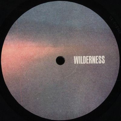 Hobzee, Response — Andromeda EP vinyl cover