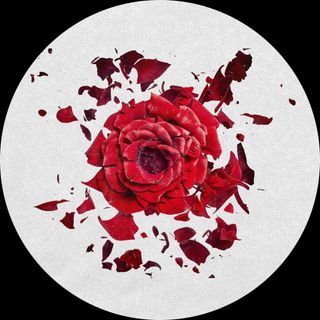 Various — June Jazzin pres. Broken Flower vinyl cover