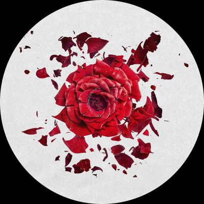 Various — June Jazzin pres. Broken Flower vinyl cover