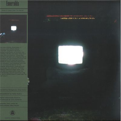 Emeralds — DOES IT LOOK LIKE I'M HERE? LP 2x12" vinyl cover