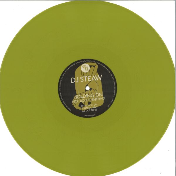 Dj Steaw — Holding On vinyl cover