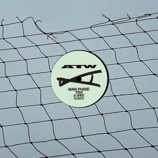 Main Phase, Tsvi — Swarm vinyl cover