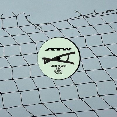 Main Phase, Tsvi — Swarm vinyl cover
