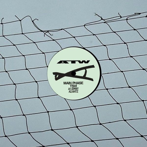 Main Phase, Tsvi — Swarm vinyl cover