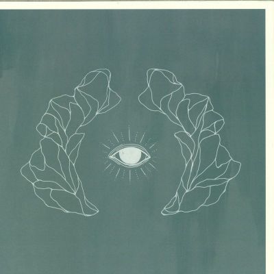 José González — Vestiges & Claws vinyl cover