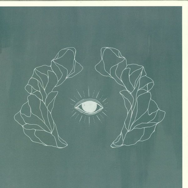 José González — Vestiges & Claws vinyl cover