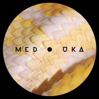 Paularner — Medusa EP vinyl cover