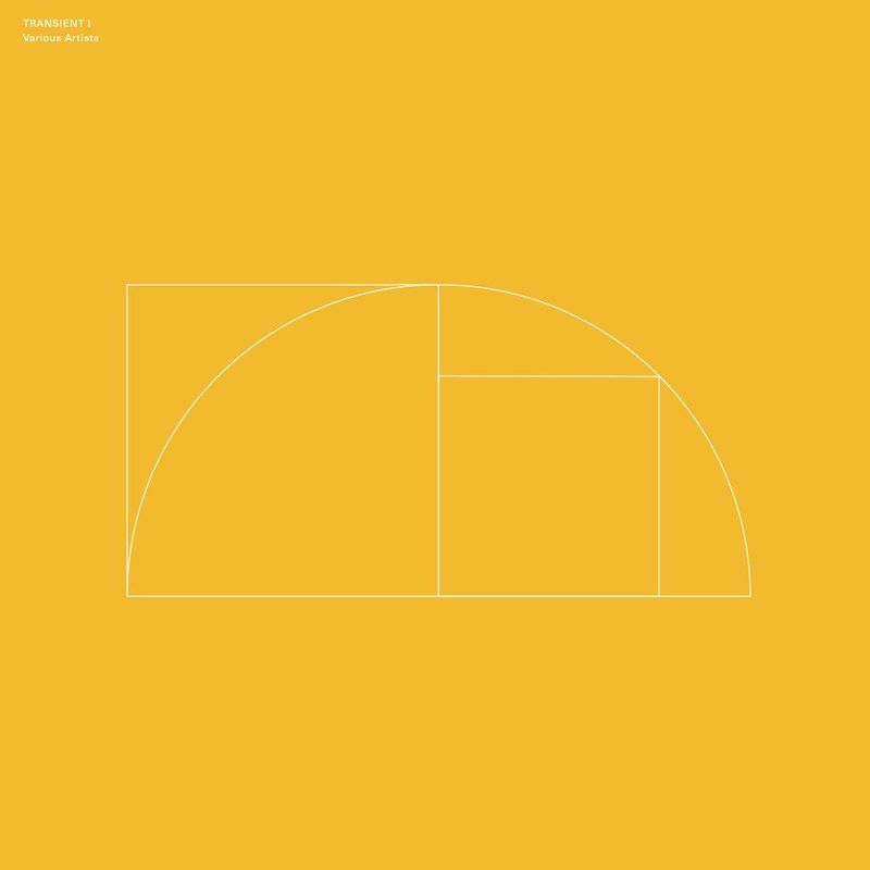 Various Artists — Transient I LP vinyl cover