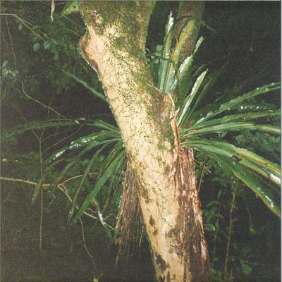 Artefakt, Maayan Nidam — Collaborations II vinyl cover