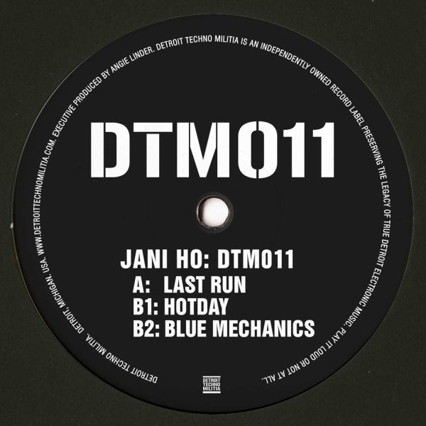 Jani HO — DTM011 LP vinyl cover