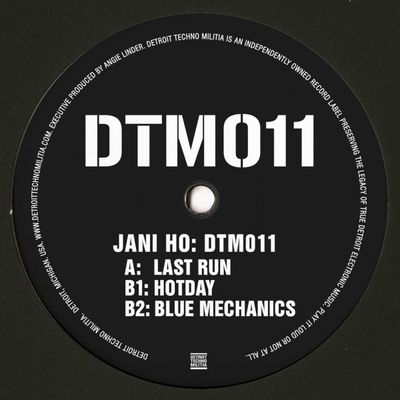 Jani HO — DTM011 LP vinyl cover