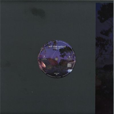 not even noticed — Feel vinyl cover