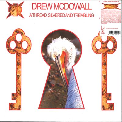 Drew Mcdowall — A Thread, Silvered and Trembling LP vinyl cover