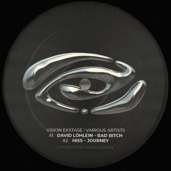 Various — Vision Ekstase 8 vinyl cover