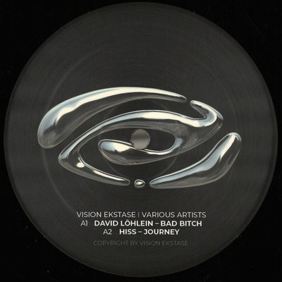 Various — Vision Ekstase 8 vinyl cover