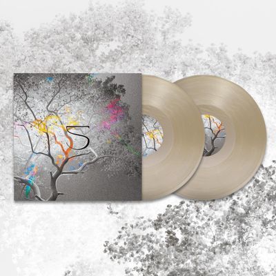 Various — 5 Years 2x12" vinyl cover