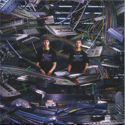 Fjaak — FJAAK THE SYSTEM LP 4x12" vinyl cover