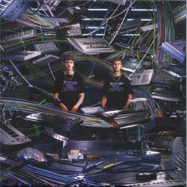 Fjaak — FJAAK THE SYSTEM LP 4x12" vinyl cover