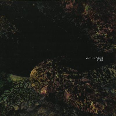 Gasvs., Lino Pugliese — Split Ep vinyl cover