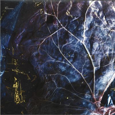 Ca2 — Overtone Widow vinyl cover