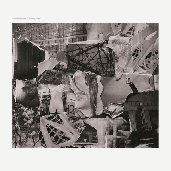Vanity Productions — The Vanity Project vinyl cover