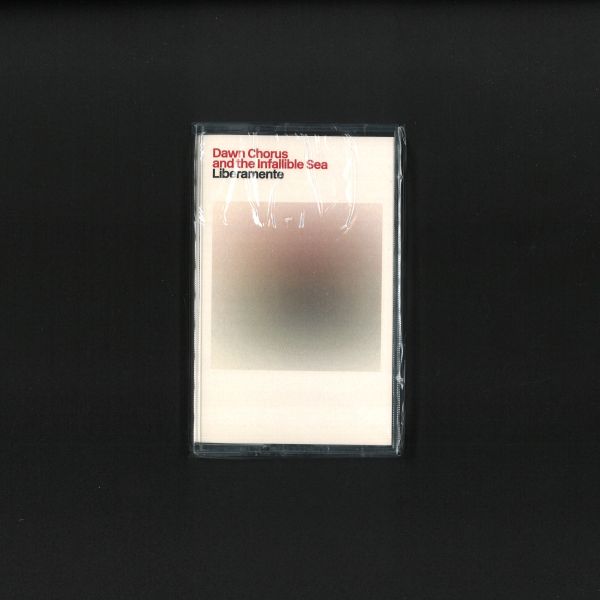 Dawn Chorus, The Infallible Sea — Liberamente vinyl cover