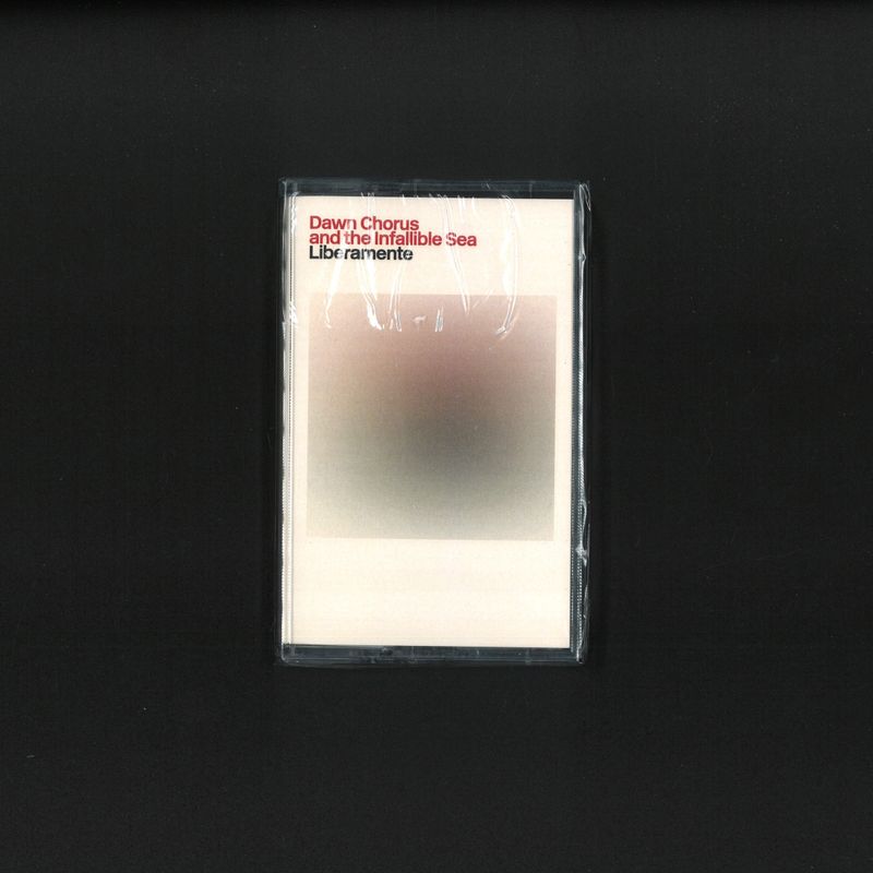 Dawn Chorus, The Infallible Sea — Liberamente vinyl cover