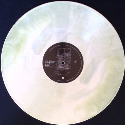 Pola, Bryson — Overgrown LP 2x12" vinyl cover
