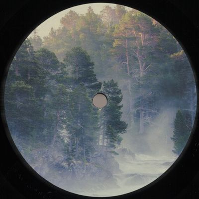 Foreign Material — Saturnian vinyl cover