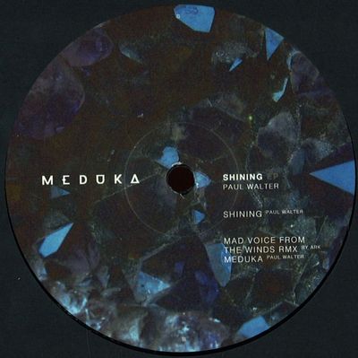 Paul Walter — Shining Ep Incl. Ark Rmx vinyl cover