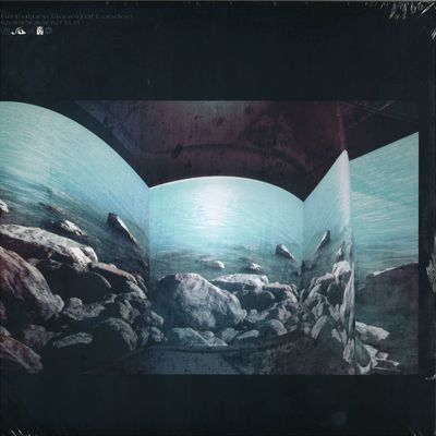 The Future Sound Of London — Environment 6.5 vinyl cover