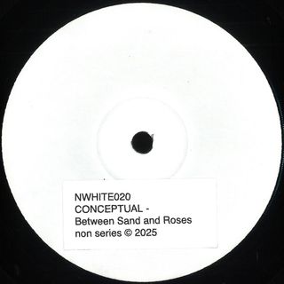 Conceptual — BETWEEN SAND AND ROSES vinyl cover