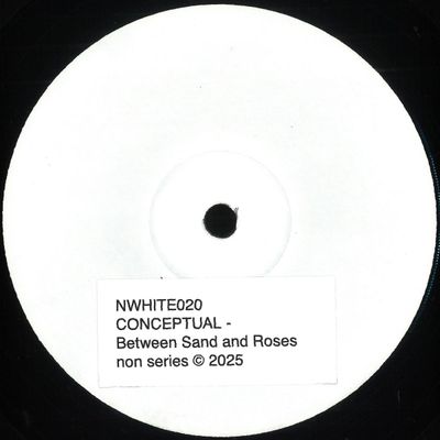Conceptual — BETWEEN SAND AND ROSES vinyl cover