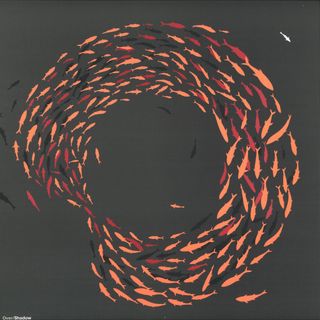 Vromm